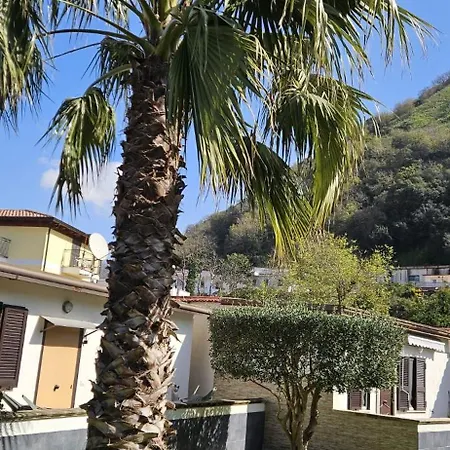 Casa Auri-3